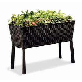   Keter Easy grow műrattan virágláda (magaságyás) - whiskey barna