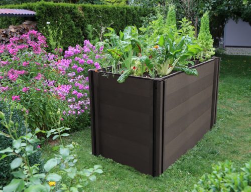 Magaságyás G21 Crop 183 x 68 x 80, WPC, Ébenfa