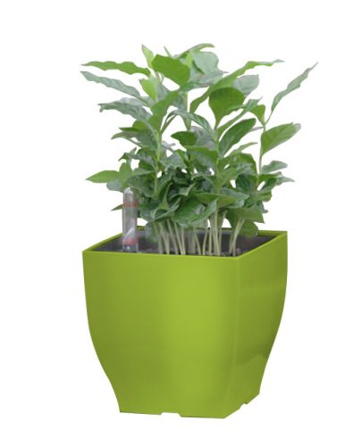 G21 Cube mini virágcserép zöld, 13 cm "külső burkolat