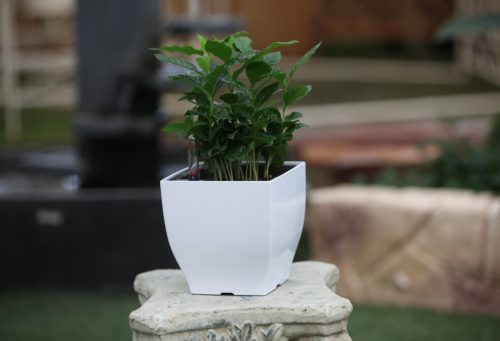 G21 Cube mini virágcserép zöld, 13 cm "külső burkolat