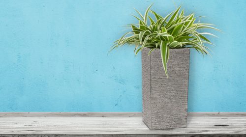 G21 Natur Tube virágcserép 40 x 82 x 40