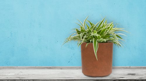 G21 Element Cork virágcserép 21 x 21 x 21