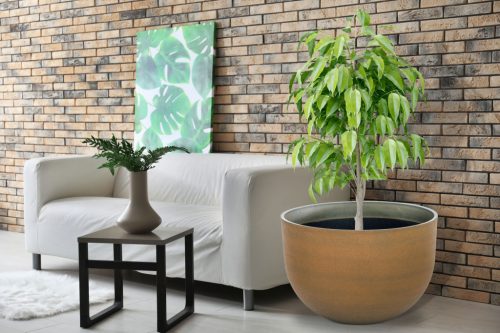 G21 Terra Bold virágcserép 55 x 55 x 36,5