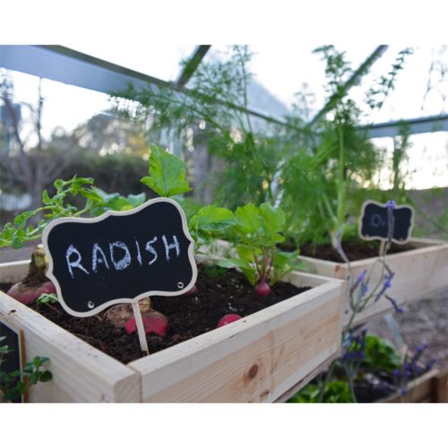 Palram - Canopia Hybrid 6x8