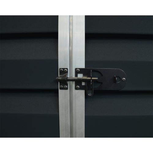 Palram - Canopia Skylight 6x8 antracit