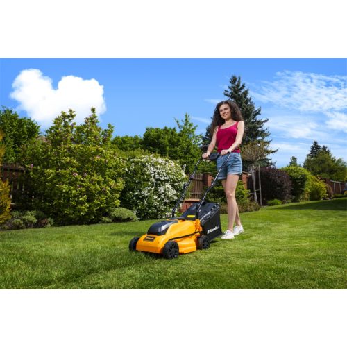 Riwall PRO RALM 3320i