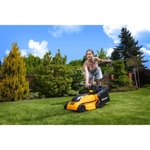 Riwall PRO RALM 3320i SET