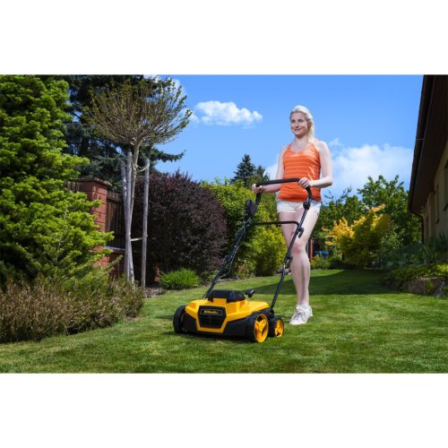 Riwall PRO RAV 3820i