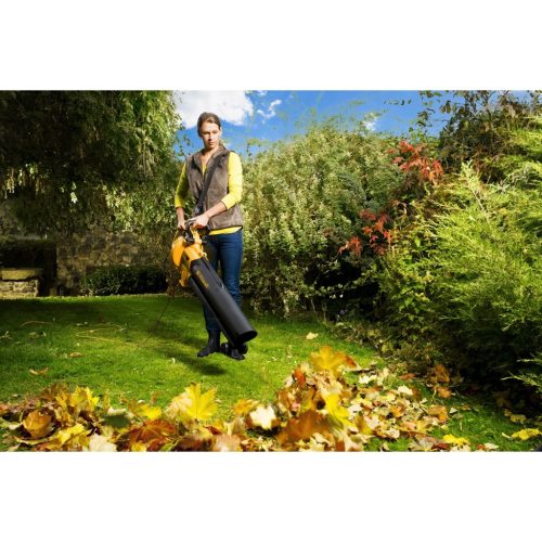 Riwall PRO REBV 3000