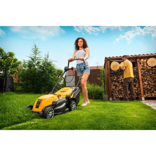 Riwall PRO REM 3817