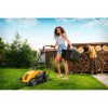 Riwall PRO REM 3817