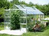 üvegház VITAVIA URANUS 11500 tiszta üveg 3 mm ezüst színű LG1038