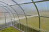 LANITPLAST KYKLOP üvegház 3x6 m PC 4 mm