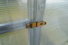 üvegház LANITPLAST KYKLOP 2x4 m PC 4 mm LG1544