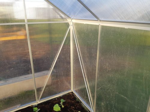tartalék üveg az üvegházhoz VITAVIA URANUS 8300 PC 6 mm LG2540