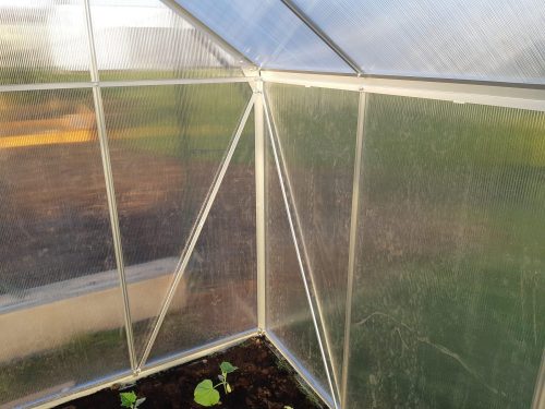 tartalék üveg az üvegházhoz VITAVIA URANUS 9900 PC 6 mm LG2542