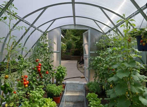 üvegház LANITPLAST TIBERUS 3x6 m PC 4 mm LG2860