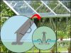 üvegház VITAVIA VENUS 2500 tiszta üveg 3 mm fekete színű LG3537