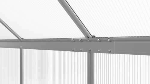 üvegház LANITPLAST SARANA 6x10 PC 4 mm ezüst színű LG4272