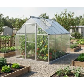   üvegház LANITPLAST SARANA 6x8 PC 4 mm ezüst színű LG4275