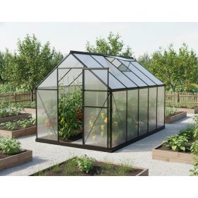   üvegház LANITPLAST SARANA 6x10 PC 4 mm fekete színű LG4333