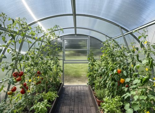 üvegház LANITPLAST KYKLOP2 3x6 m PC 4 mm LG4337