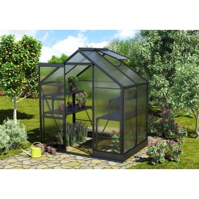üvegház VITAVIA APOLLO 2500 PC 4 mm fekete színű LG4390