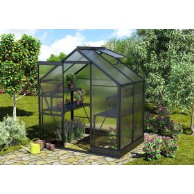üvegház VITAVIA APOLLO 2500 PC 6 mm fekete színű LG4391