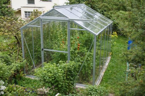 üvegház LANITPLAST LIMES Viva V6/2 1,97x2 m tiszta üveg 3 mm LG4696