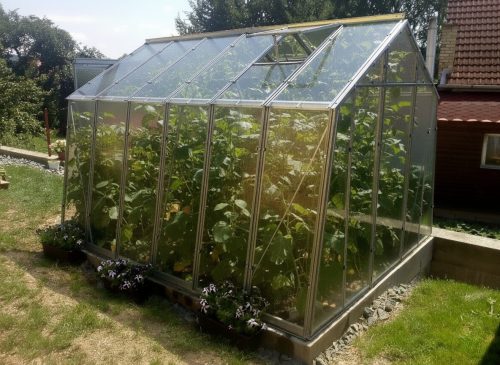 üvegház LANITPLAST LIMES Viva V7/6  2,47x5,95 m tiszta üveg 3 mm LG4711
