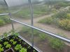 üvegház LANITPLAST KYKLOP2 2x4 m PC 4 mm LG4754