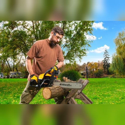 Riwall PRO RPCS 5140 SET