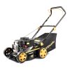 Riwall PRO RPM 4234 P