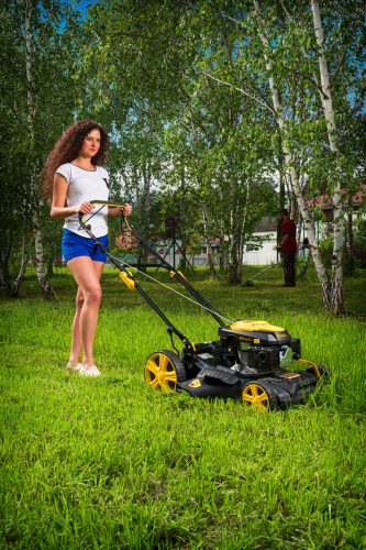 Riwall PRO RPM 5135