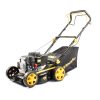 Riwall PRO RPM 4234